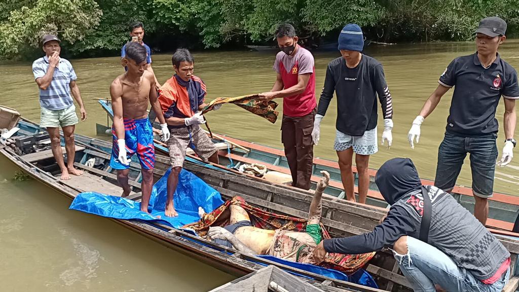 Mengambang di Sungai