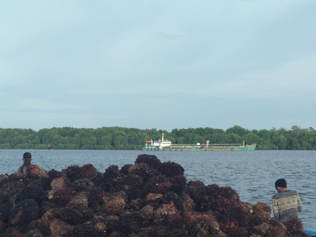 ekspor kalimantan tengah