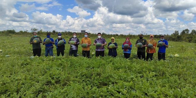 PANEN: Kebersamaan tim Dinas Pertanian dan Ketahanan Pangan (DPKP) Kota Palangka Raya, baru-baru ini.FOTO:HUMAS