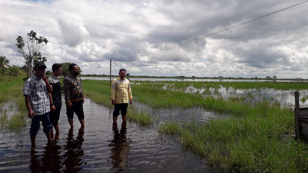 BANJIR: Kepala Desa Lampuyang, Muksin (baju batik) beserta wakil ketua DPRD Kabupaten Kotim H Rudianur dan para petani saat melihat sawah warga yang terendam, Kamis (20/5) kemarin.FOTO :KADES