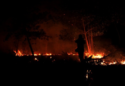 Dalam Lima Bulan, 313 Hektare Lahan Terbakar