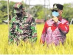 TINJAU: Bupati Kabupaten Kotim H Halikinnor meninjau lahan pertanian yang ada di Kecamatan Kota besi, belum lama in
