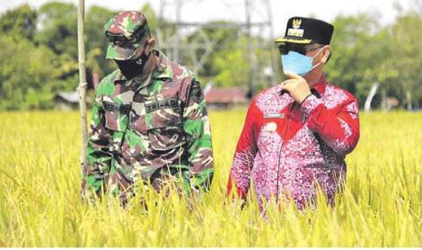 TINJAU: Bupati Kabupaten Kotim H Halikinnor meninjau lahan pertanian yang ada di Kecamatan Kota besi, belum lama in
