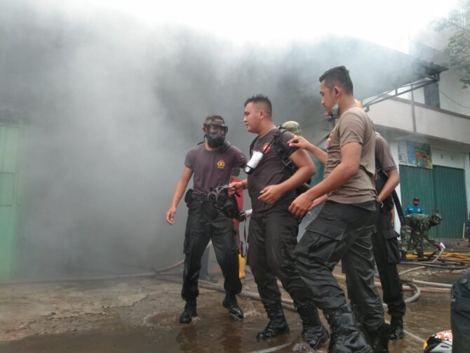 Jago merah mengamuk di sebuah rumah toko (ruko)