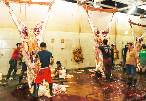 Meminta masyarakat untuk membatasi mobilitas