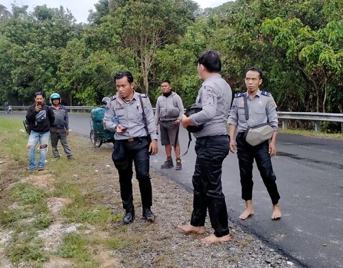 Jalan Licin dan Menikung, Anggota BPTD Kalteng Alami Laka Tunggal