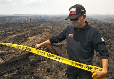 Perusahaan Sawit PT KS Harus Ganti Rugi Rp 175,18 M