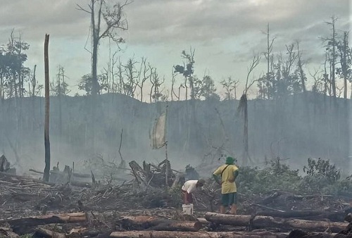 Penindakan Kejahatan Karhutla