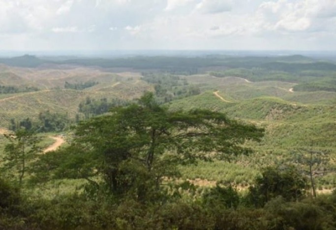 Dicari Lahan Perumahan di Ibu Kota Negara Baru, Harganya Mulai Gila-gilaan