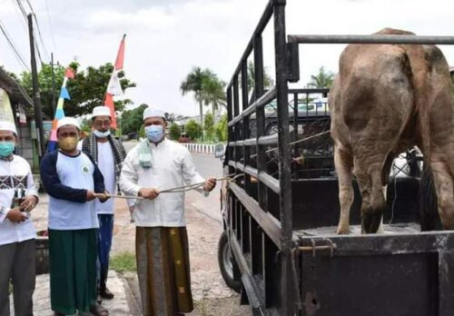 Pemkab Sumbang Satu Ekor Sapi