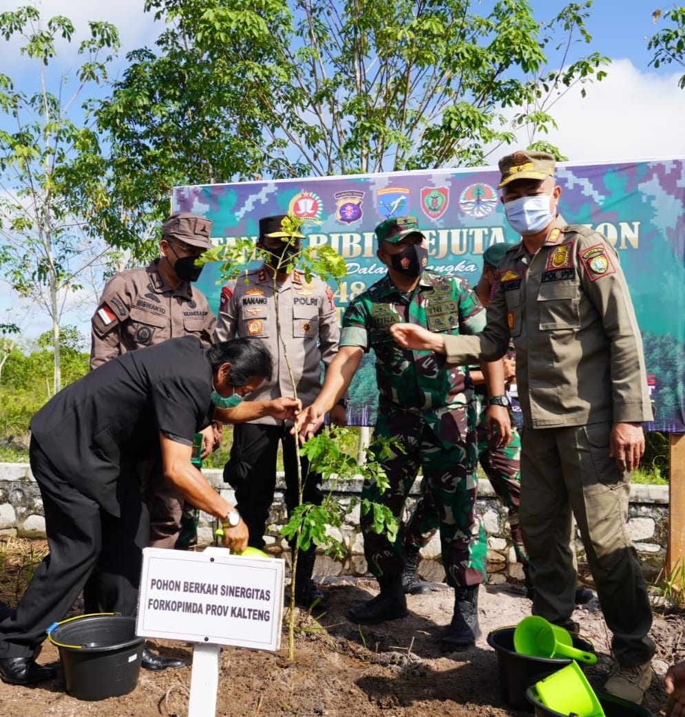MENANAM : Danrem 102/Pjg Brigjen TNI Yudianto Putrajaya, S.E.,M.M., bersama pihak Forkopimda lainnya melaksanakan penanaman sejuta bibit pohon, dalam rangka HUT Korem 102/Pjg ke 48, Selasa (15/03/2022). FOTO IST