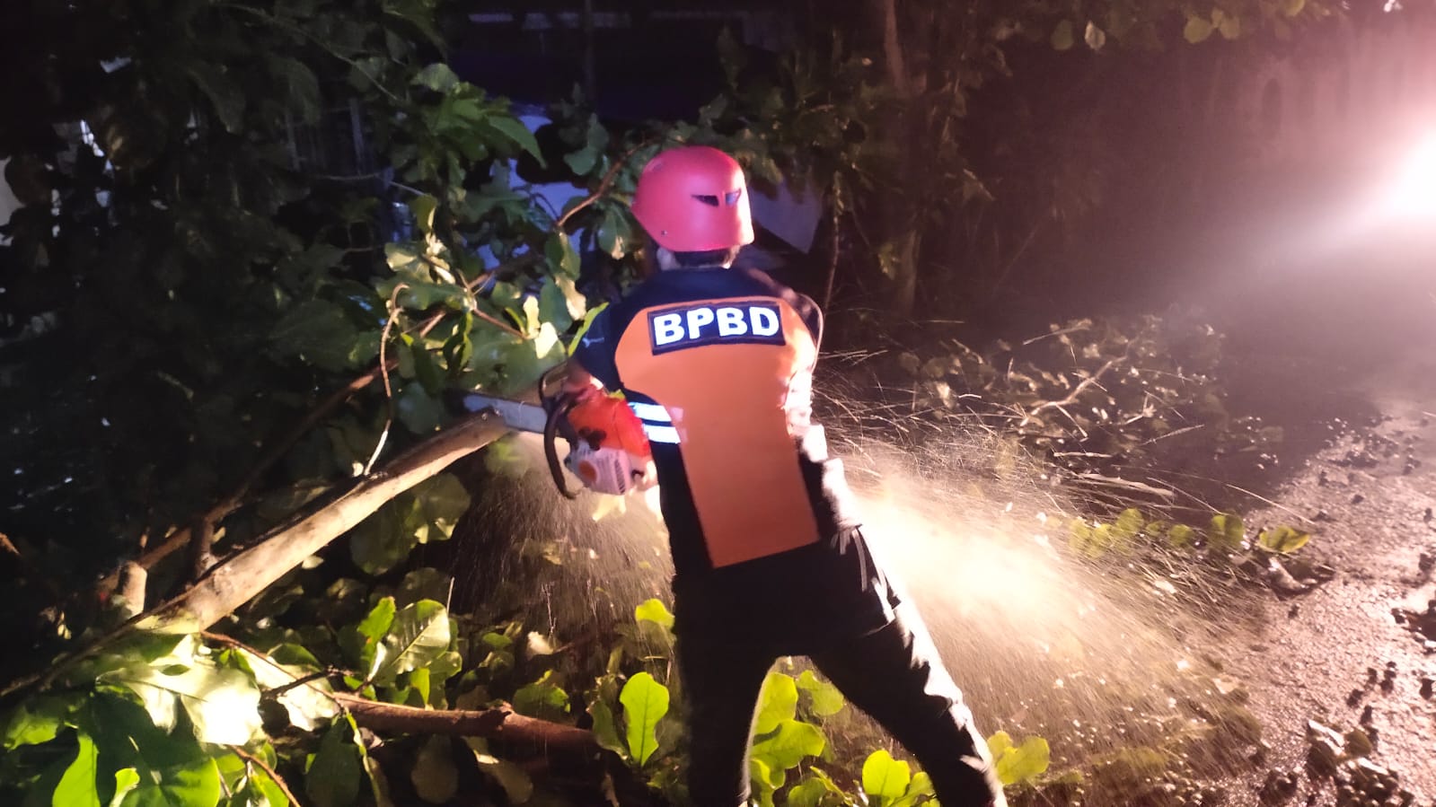 EVAKUASI : Tim Reaksi Cepat (TRC) BPBD Kota Palangka Raya saat melakukan evakuasi pohon tumbang di jalan Batu Suli Induk, Selasa (29/3/2022). BPBD UNTUK KALTENG POS