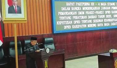 Wabup Sampaikan Jawaban Pemerintah