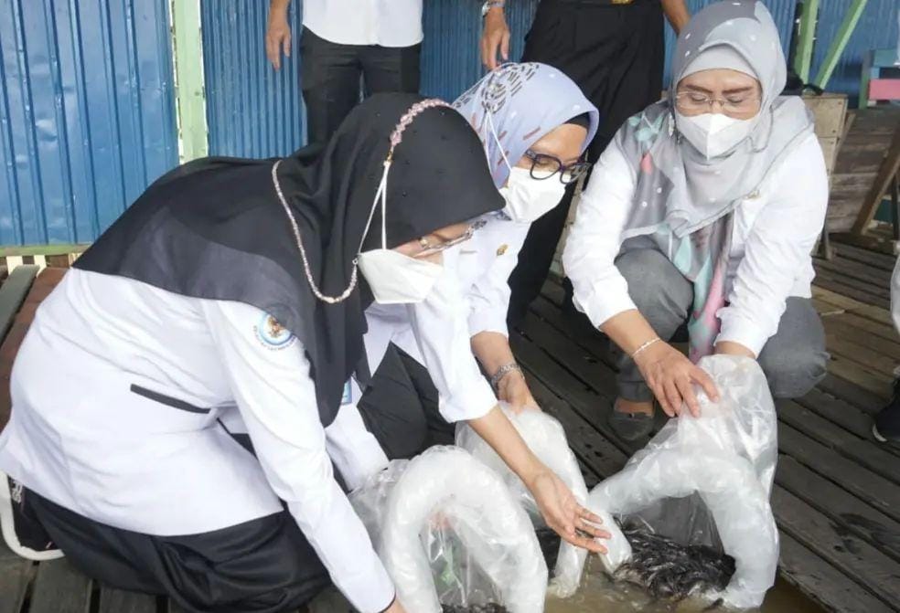 MENEBAR : Sekretaris Daerah Kota Palangka Raya Hera Nugrahayu (tengah) menebar benih ikan baung di Kampung Budidaya Ikan di Kelurahan Pahandut Seberang, baru-baru ini. PROKOM UNTUK KALTENG POS