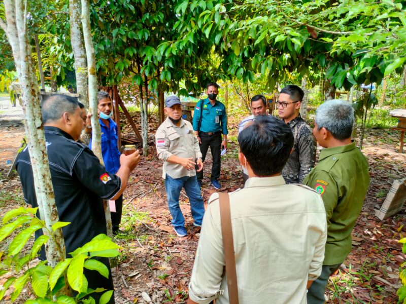 Pengembangan Budidaya Madu Kelulut