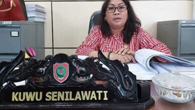DPRD Kalteng Dukung Wacana Revitaliasi Anjungan Kalteng di TMII