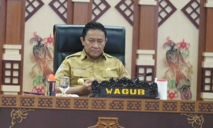 Wagub Kalteng Ikuti Rakor Pengendalian Inflasi di Daerah