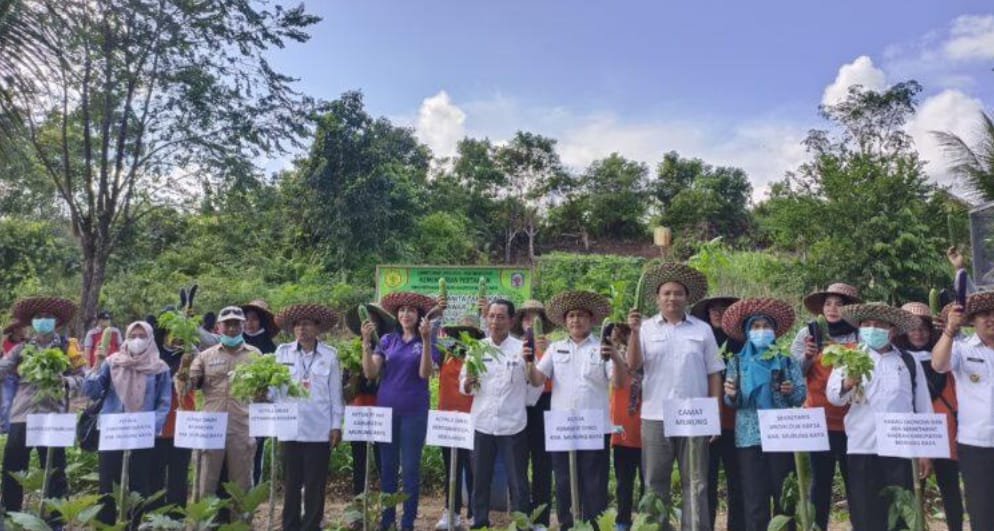 DKP Apresiasi Panen Sayur KWT Danau Usung