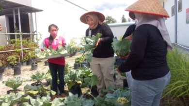 Lapas Perempuan Palangka Raya Terus Gencarkan Program Pembinaan Kemandirian Terhadap WBP