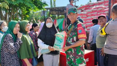 MONITORING KEGIATAN : Babinsa Koramil 1016-01/Pahandut Serka Ilham monitoring kegiatan operasi pasar yang digelar Dinas Ketahanan Pangan dan Pertanian Provinsi Kalteng, di Kelurahan Langkai, Rabu (12/04/2023). FOTO IST
