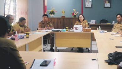 Festival Budaya Nansarunai