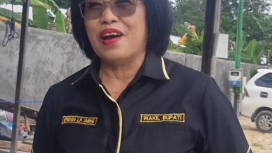 Wakil Bupati Efrensia LP Umbing