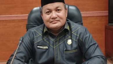 Pendampinagn pada pemdes