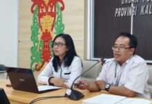 Statistisi Ahli Madya BPS