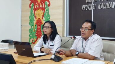 Statistisi Ahli Madya BPS