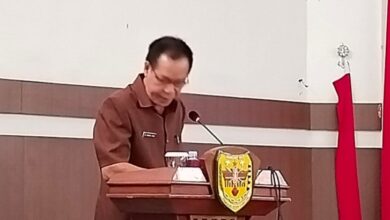 Kehadiran Bumdes Untuk Mengangkat Potensi Desa