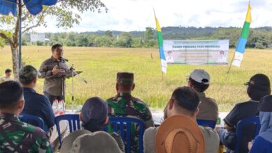 Kepala Dispertan Gunung Mas Aryantoni