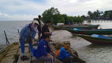 Pelatihan Sylvofishery di Desa Teluk Bogam