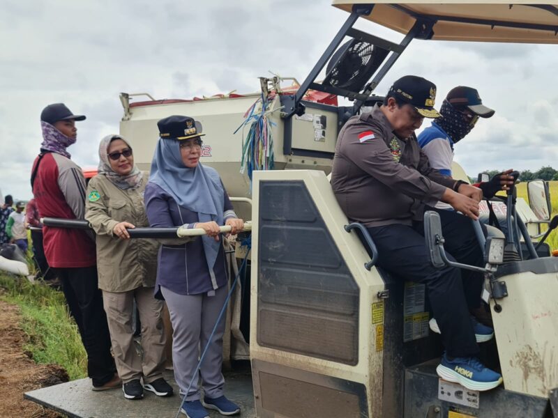 Wagub: Upaya Menuju Peningkatan Ketersediaan Pangan Nasional