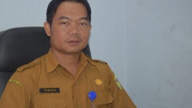 Data Perizinan Terbit Capai Ribuan