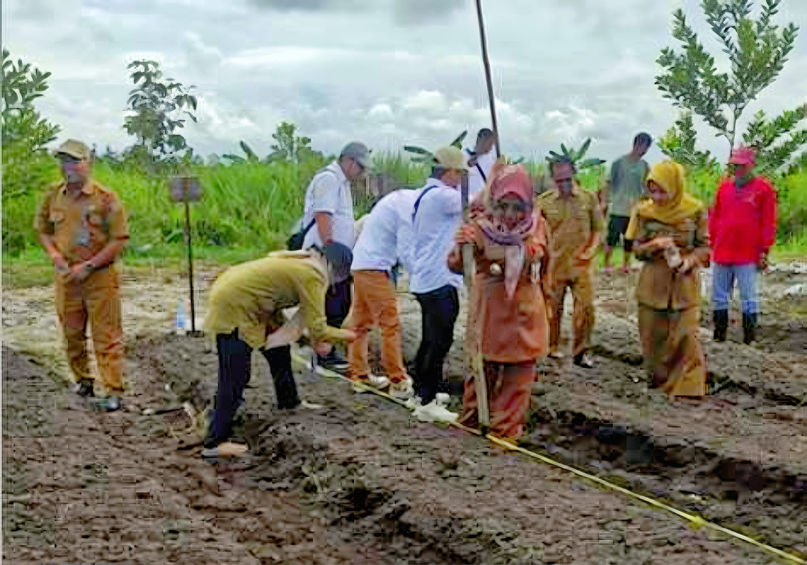 Dinas TPHP Kalteng Teguhkan Komitmen Ketahanan Pangan dengan Penanaman Sorgum