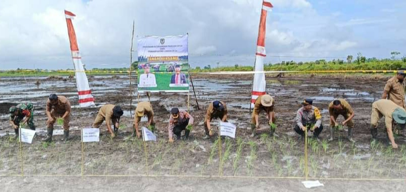Dorong Produktivitas Padi di Seruyan