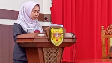 Cabai dan Sayur Lebih Cepat Menghasilkan