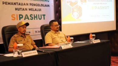Dishut Kalteng Adakan In-House Training Aplikasi SIPASHUT