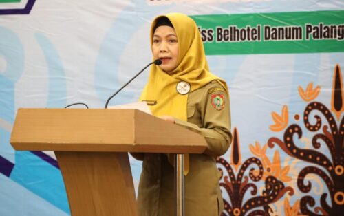 Sri Widanarni Buka Rapat Konsolidasi Realisasi Investasi Kalteng Tahun 2024