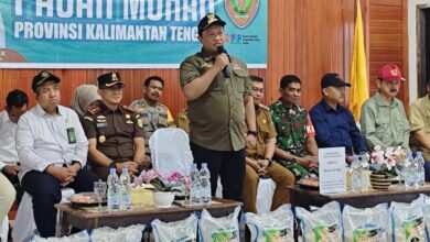 SAMBUTAN : Wagub Kalteng, H. Edy Pratowo saat menyampaikan sambutan, Senin (09/09/2024). FOTO IST