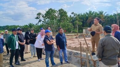 Gubernur Kalteng Tinjau Pembangunan Pabrik Pakan Ternak di Parenggean