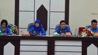 Diseminasi dan Advokasi Program Kesehatan Usia Produktif dan Lansia di Kalimantan Tengah