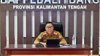 Integrasi Hulu ke Hilir, Strategi Kalteng Wujudkan Food Estate Berkelanjutan