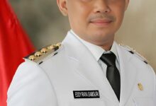 Sosok Pemimpin Visioner Barito Selatan