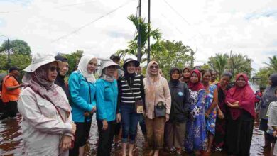 Ketua TP-PKK Kalteng Tinjau Lokasi Banjir, Salurkan Bantuan untuk Warga Terdampak