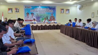 Pemprov Kalteng Tetapkan Harga TBS Sawit Periode I Maret 2025