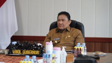 Wagub Kalteng Hadiri Apel Kesiapsiagaan Karhutla Nasional 2025 Secara Virtual