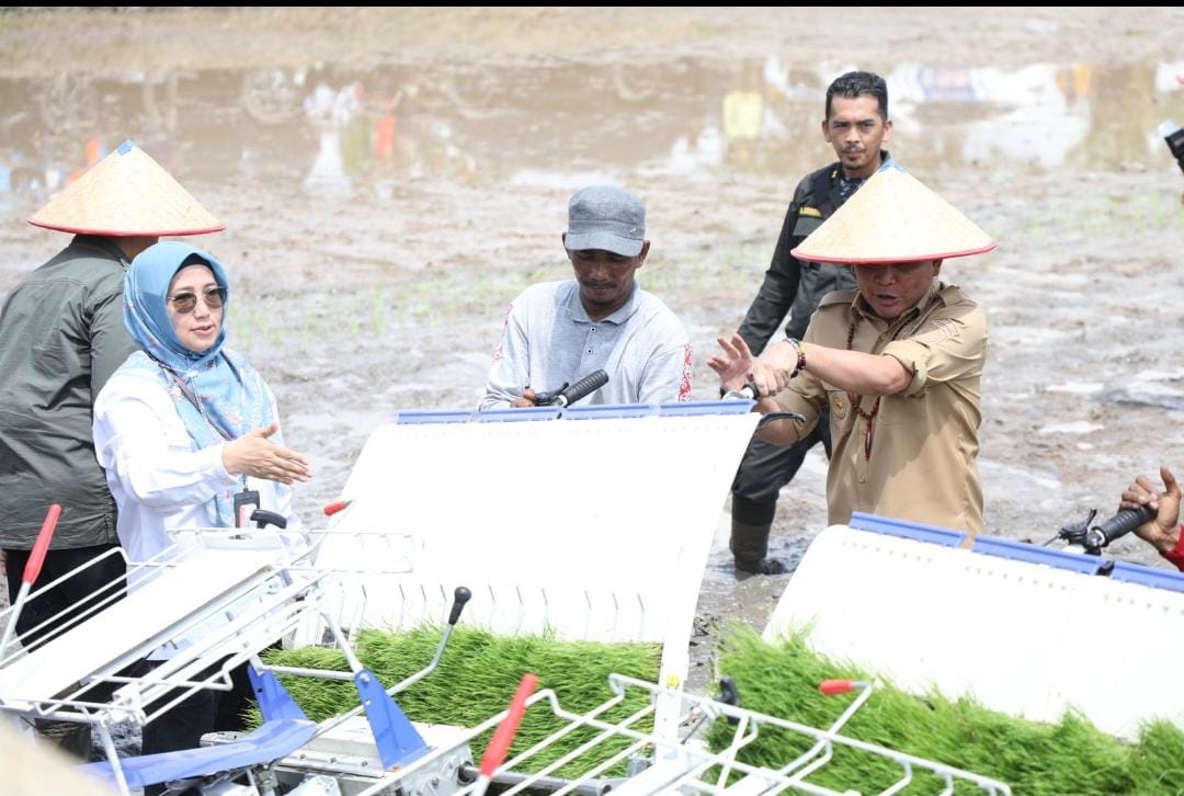Kadis TPHP Kalteng Dampingi Gubernur Agustiar Sabran Ikuti Gerak Tanam Serentak