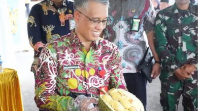 Kembangkan Potensi Buah Lokal Melalui Kontes Durian