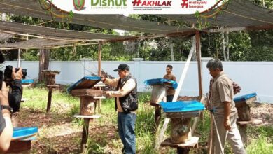 Kadishut Kalteng Tinjau KPHP Kapuas Tengah